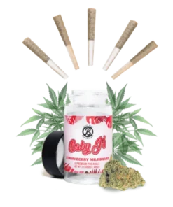 BABY J’S – WATERMELON ZKITTLES